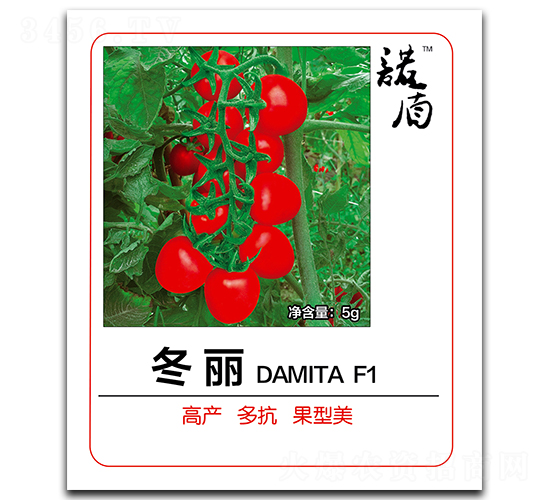 冬麗（紅果櫻桃番茄）-番茄種子-徽大農業(yè)