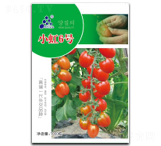 小虹6號-番茄種子-徽大農(nóng)業(yè)