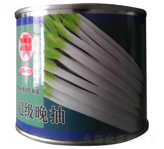 超級(jí)晚抽-大蔥種子-瑞奇種業(yè)