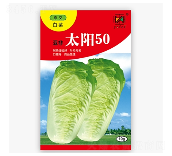 太陽50-白菜種子-亞非