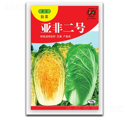 亞非二號-白菜種子-亞非