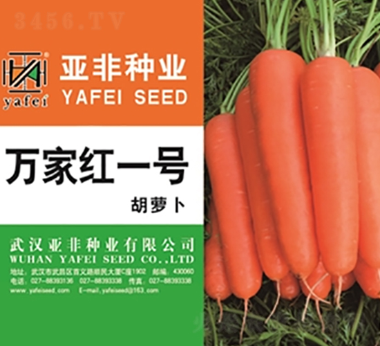 萬(wàn)家紅一號(hào)-胡蘿卜種子-亞非
