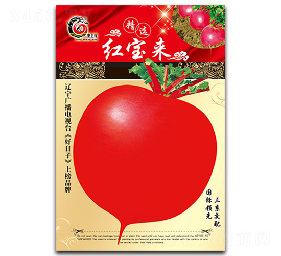 紅寶來-蘿卜種子-金翊雪龍
