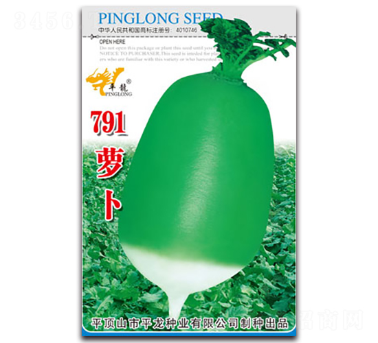 791蘿卜-蘿卜種子-平龍種業(yè)