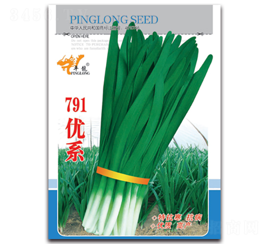 791優(yōu)系-韭菜種子-平龍種業(yè)