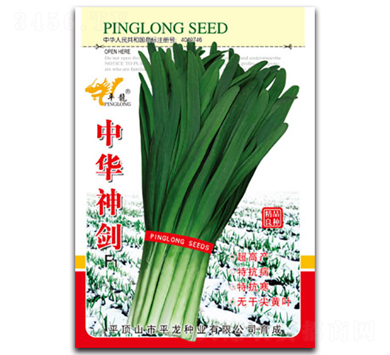 中華神劍-韭菜種子-平龍種業(yè)
