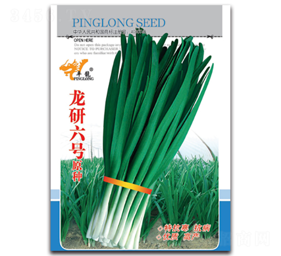 龍研六號(hào)原種-韭菜種子-平龍種業(yè)