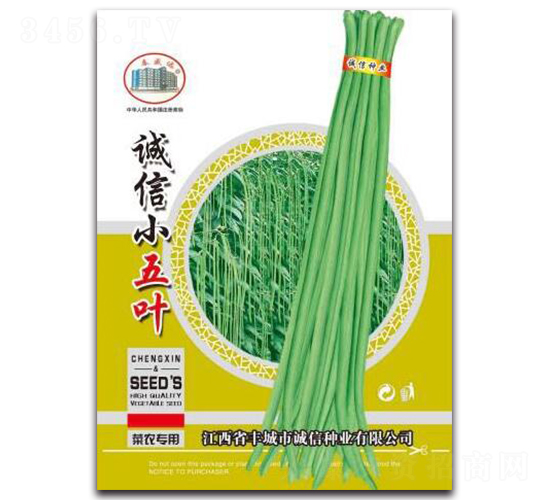 誠信小五葉-豇豆種子-誠信種業(yè)
