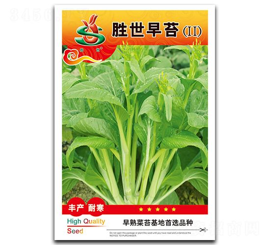 勝世早苔-菜苔種子-鴻盛園