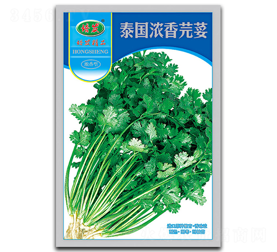 泰國濃香芫荽-芫荽種子-鴻盛園