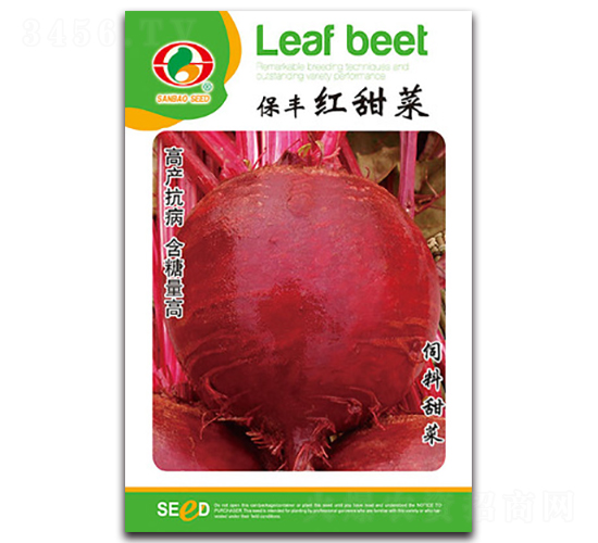 保豐紅甜菜-甜菜種子-三保種業(yè)