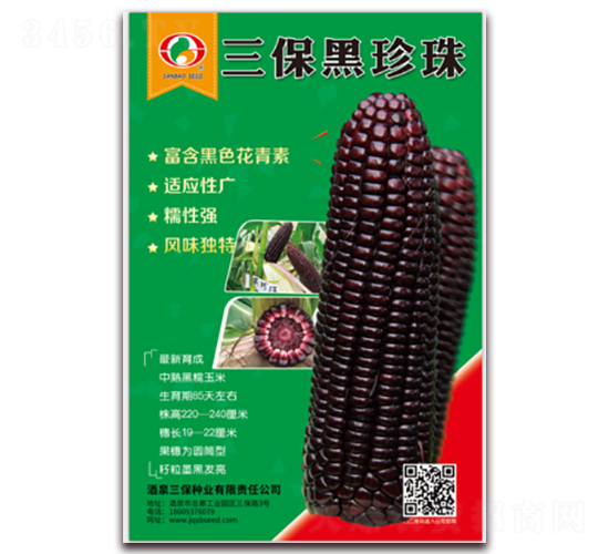 三保黑珍珠-糯玉米種子-三保種業(yè)