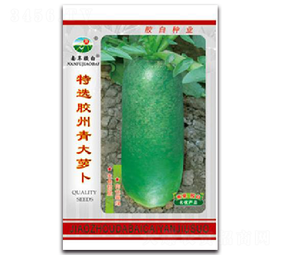 特選膠州青大蘿卜-蘿卜種子-膠白