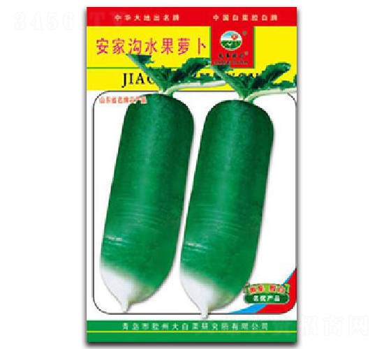 安家溝水果蘿卜-蘿卜種子-膠白
