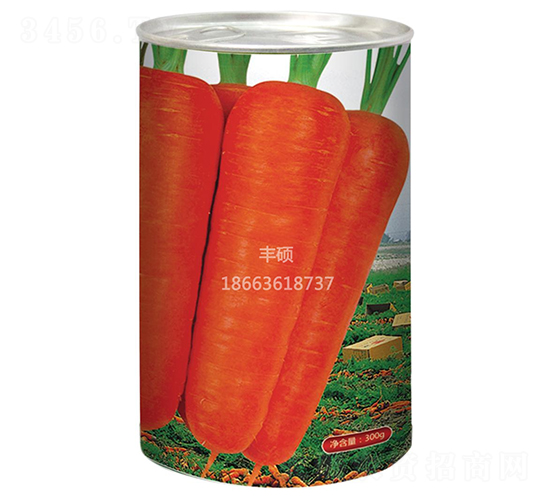 紅玉新七寸-胡蘿卜種子-豐碩種業(yè)