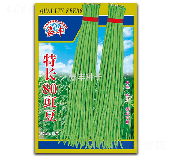 特長80豇豆-豇豆種子-嘉豐種子