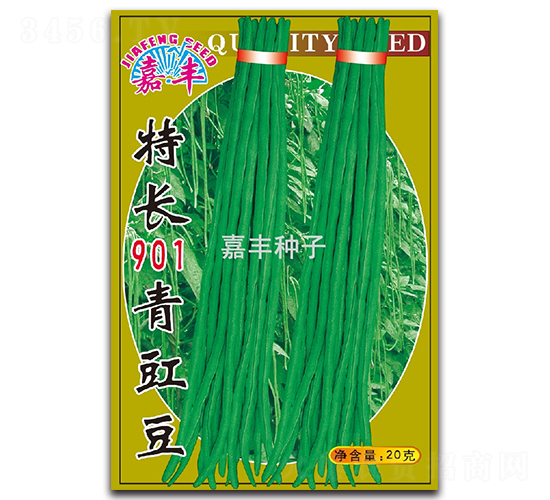 特長901青豇豆-豇豆種子-嘉豐種子