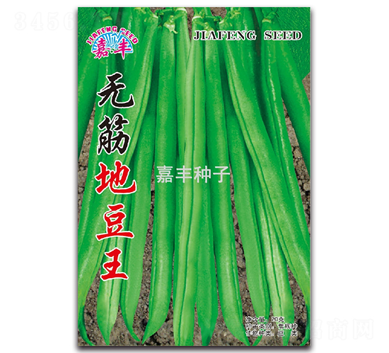 無筋地豆王-地豆種子-嘉豐種子