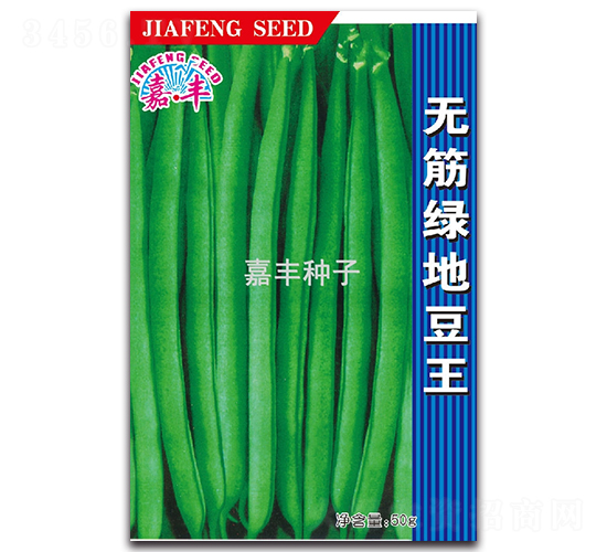 無筋綠地豆王-地豆種子-嘉豐種子