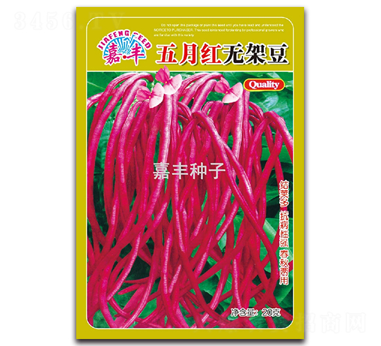 五月紅無架豆-架豆種子-嘉豐種子