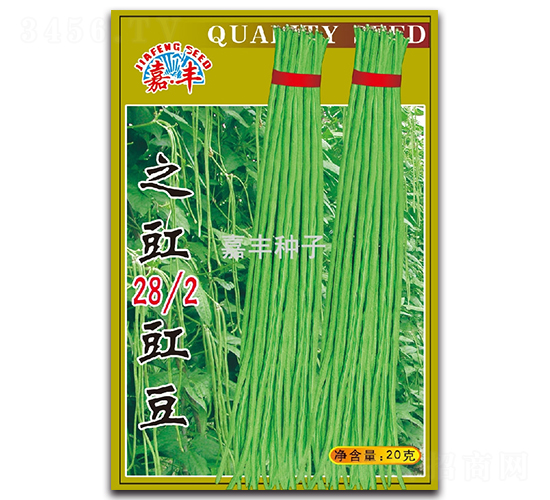 之豇28-2豇豆-豇豆種子-嘉豐種子