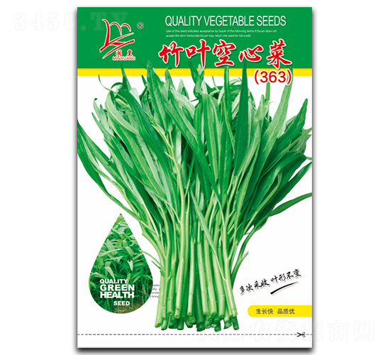竹葉空心菜（363）-空心菜種子-閩皇種業(yè)