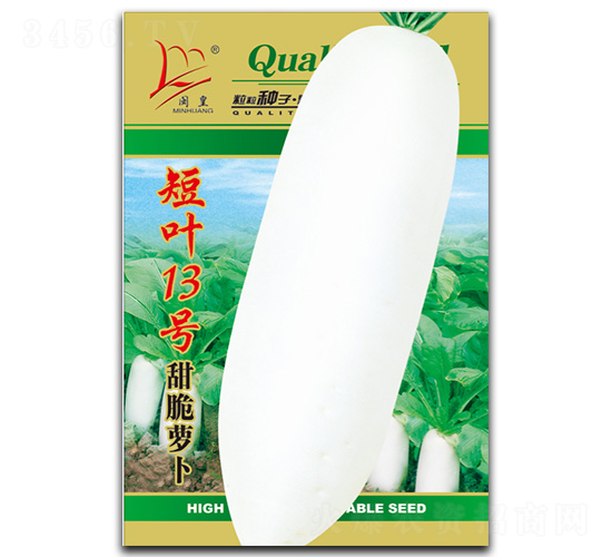 短葉13號(hào)-蘿卜種子-閩皇種業(yè)