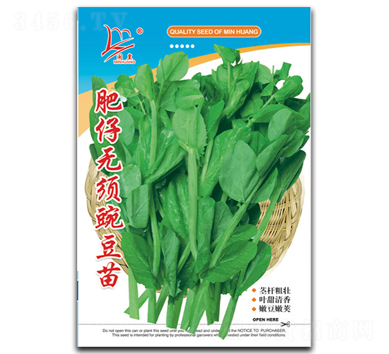 肥仔無須豌豆苗-豌豆苗種子-閩皇種業(yè)