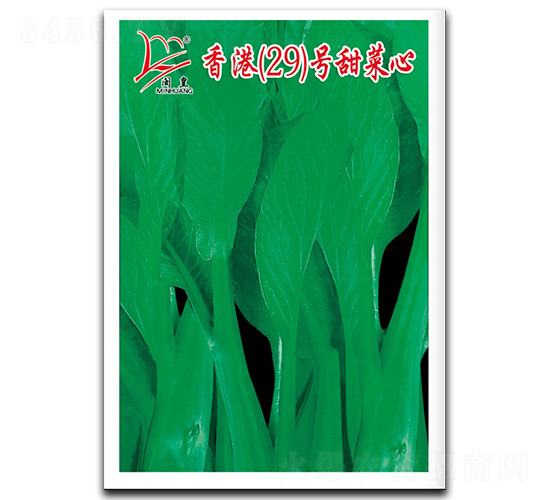 香港（29）號甜菜心-菜心種子-閩皇種業(yè)