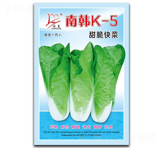南韓K-5甜脆快菜-快菜種子-閩皇種業(yè)