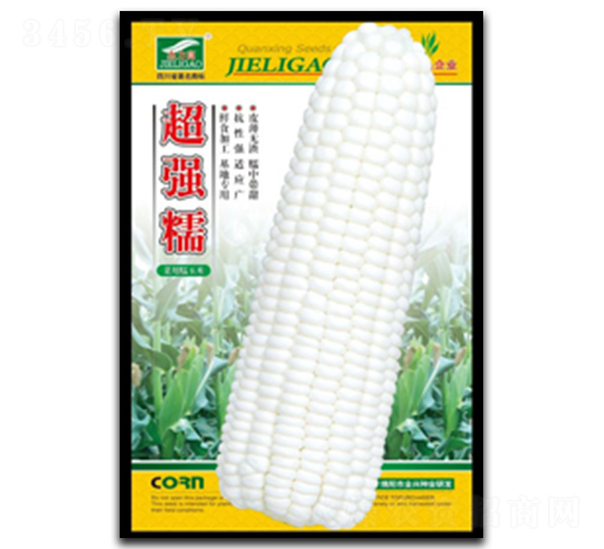 超強糯-糯玉米種子-全興種業(yè)