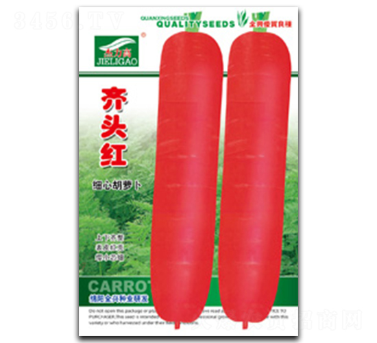 齊頭紅-胡蘿卜種子-全興種業(yè)