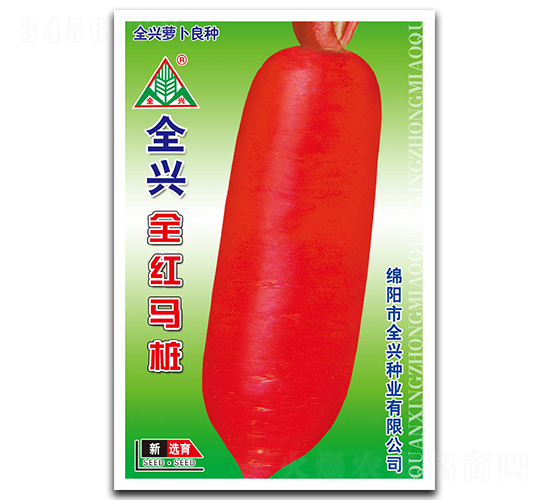 全紅馬樁-長(zhǎng)紅皮蘿卜種子-全興種業(yè)