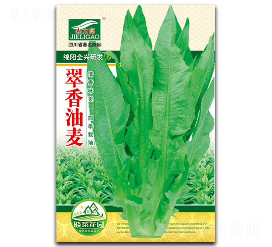 翠香油麥-油麥菜種子-全興種業(yè)