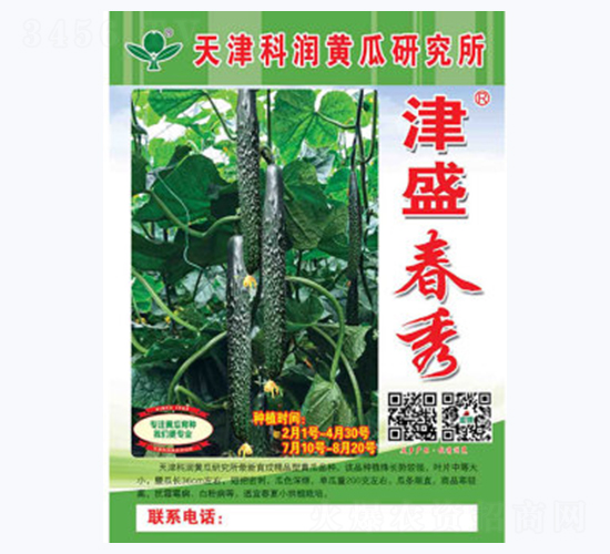 津盛春秀-黃瓜種子-科潤(rùn)種業(yè)