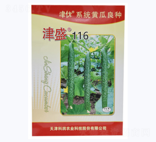 津盛116-黃瓜種子-科潤(rùn)種業(yè)