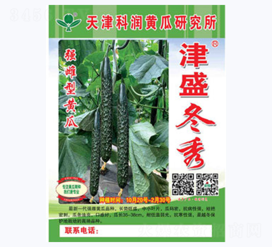 津盛冬秀-黃瓜種子-科潤種業(yè)