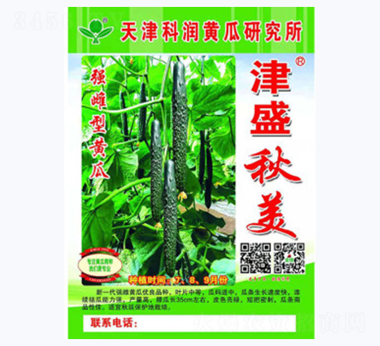 津盛秋美-黃瓜種子-科潤種業(yè)