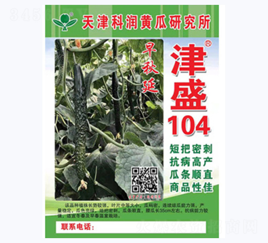 早秋延津盛104-黃瓜種子-科潤(rùn)種業(yè)