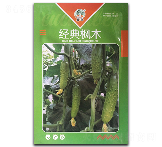 經典楓木-黃瓜種子-鳳凰種業(yè)