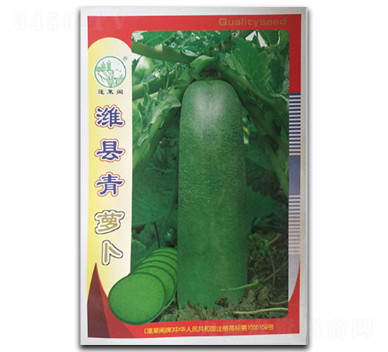濰縣青-蘿卜種子-鳳凰種業(yè)