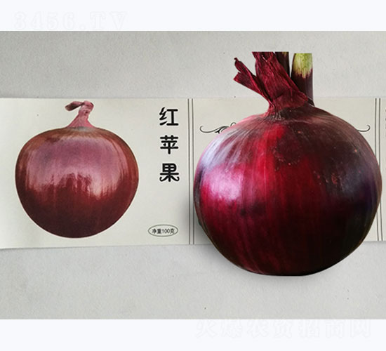 長(zhǎng)日照紅蘋果-洋蔥種子-鳳凰種業(yè)