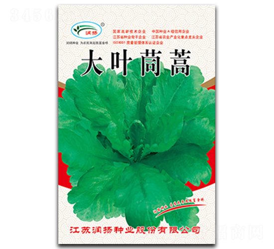 大葉茼蒿-茼蒿種子-潤揚(yáng)種業(yè)