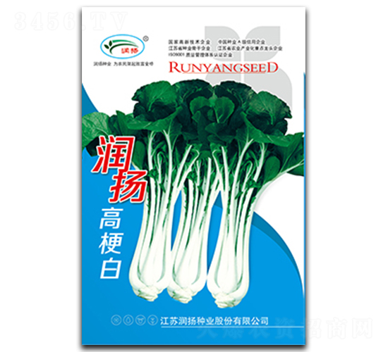潤(rùn)揚(yáng)高梗白-青菜種子-潤(rùn)揚(yáng)種業(yè)