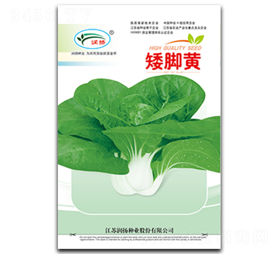 矮腳黃-青菜種子-潤揚種業(yè)