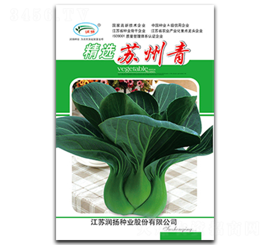 精選蘇州青-青菜種子-潤揚種業(yè)
