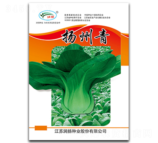 揚州青-青菜種子-潤揚種業(yè)