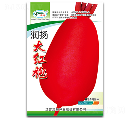 潤揚(yáng)大紅袍-蘿卜種子-潤揚(yáng)種業(yè)