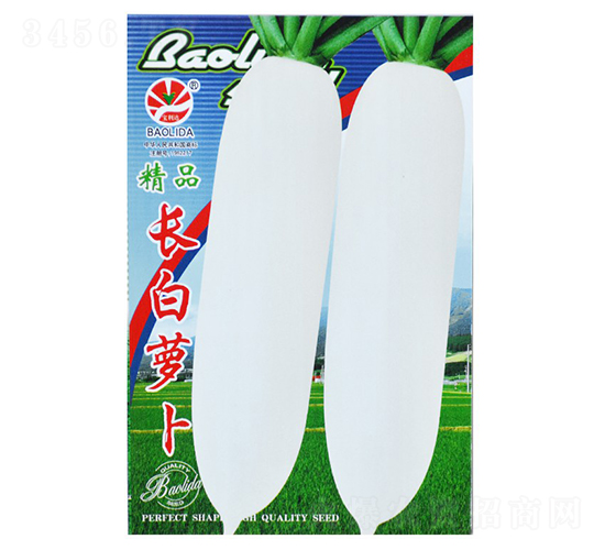 精品長(zhǎng)白蘿卜-蘿卜種子