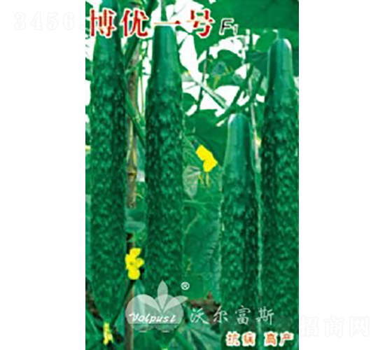 博優(yōu)一號(hào)F1（高產(chǎn)春、夏、秋黃瓜）-黃瓜種子-沃爾富斯
